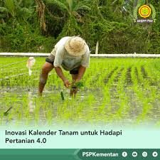 Bertanam Cerdas, Untung Berlipat: Merancang Usaha Tani Sesuai Musim & Pasar